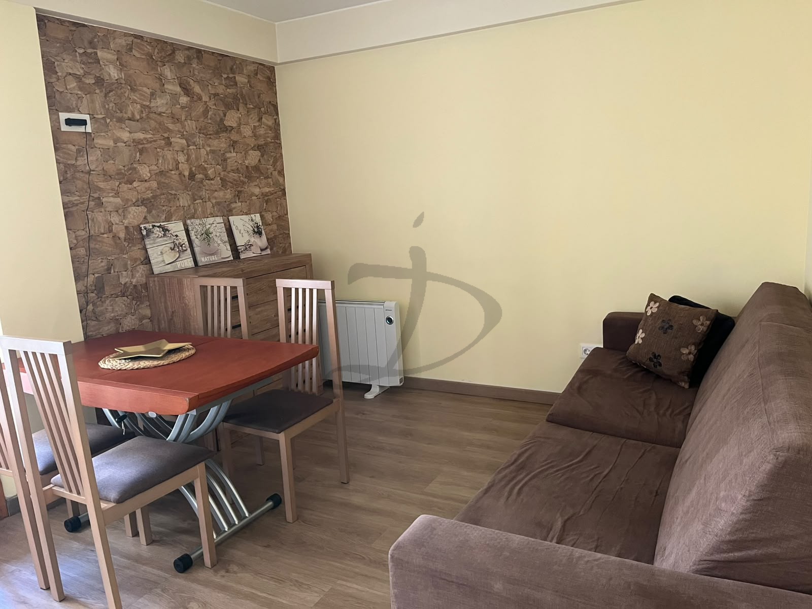 2039 - Acollidor apartament moblat amb balcó a Canillo